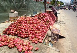 Thanh long ‘10.000 đồng 4kg’ bán đổ đống ở Sài Gòn